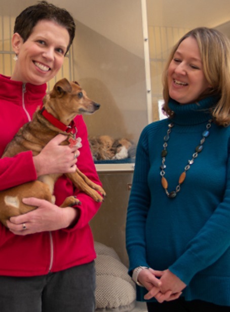 KSB's Erin B. at the Kennebec Valley Humane Society