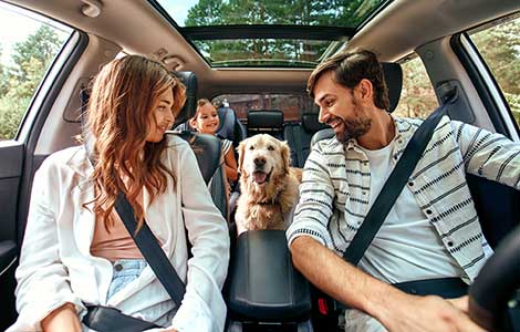 Family in car with dog.