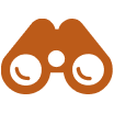 Binoculars icon