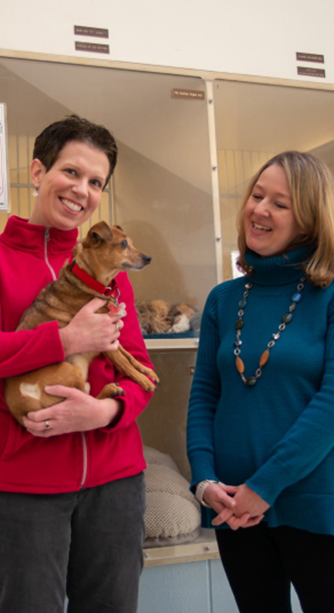 KSB's Erin B. at the Kennebec Valley Humane Society